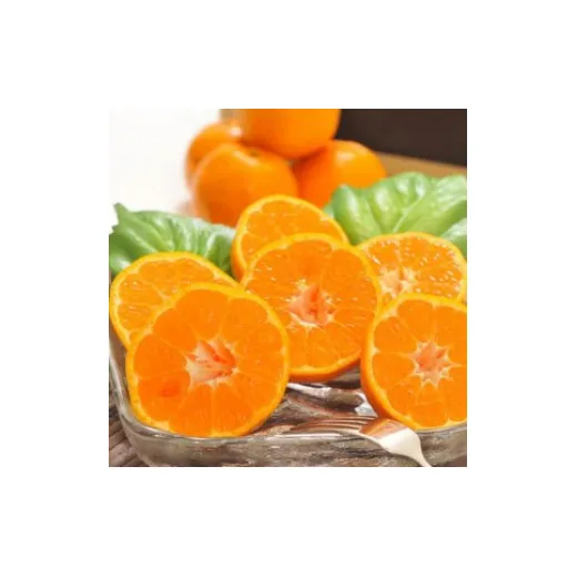 【先行予約】【冬の美味】【農家直送】濃厚ポンカン（ご家庭用）約3kg ｜ 有田 柑橘 フルーツ みかん オレンジ 産地直送