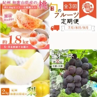 全3回 フルーツ定期便（桃7月、梨8月、ピオーネ9月発送）｜ 和歌山県産 モモ ナシ ぶどう 旬 果物