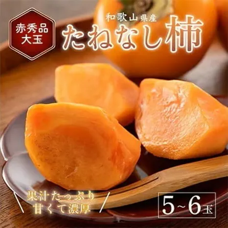 先行受付!　柿　種無し　赤秀品　大玉　5～6個　約2kg