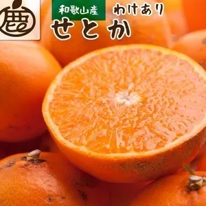 ＜2月より発送＞家庭用 せとか7.5kg+250g（傷み補償分）【柑橘・春みかんの王様】【光センサー選果・食べ頃出荷】訳あり わけあり ワケアリ