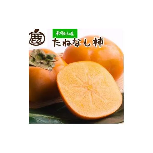 ＜10月より発送＞厳選たねなし柿10kg【刀根早生・平核無柿（ひらたねなしかき）】｜カキ・種無柿・種無し柿・種なし柿・無核柿