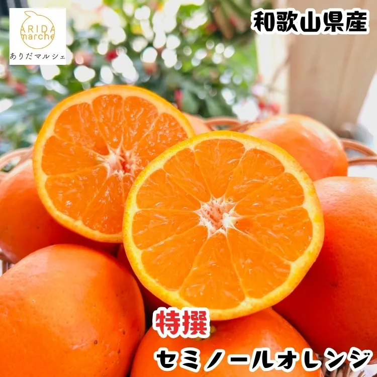 【特撰】セミノール 5kg+200g(補償分)｜ みかん 高級 くだもの 晩柑 柑橘 和歌山