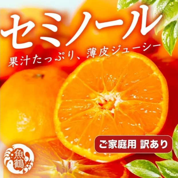 【先行予約】【訳あり・ご家庭用】 セミノールオレンジ 約5kg ジューシー柑橘 和歌山県産
