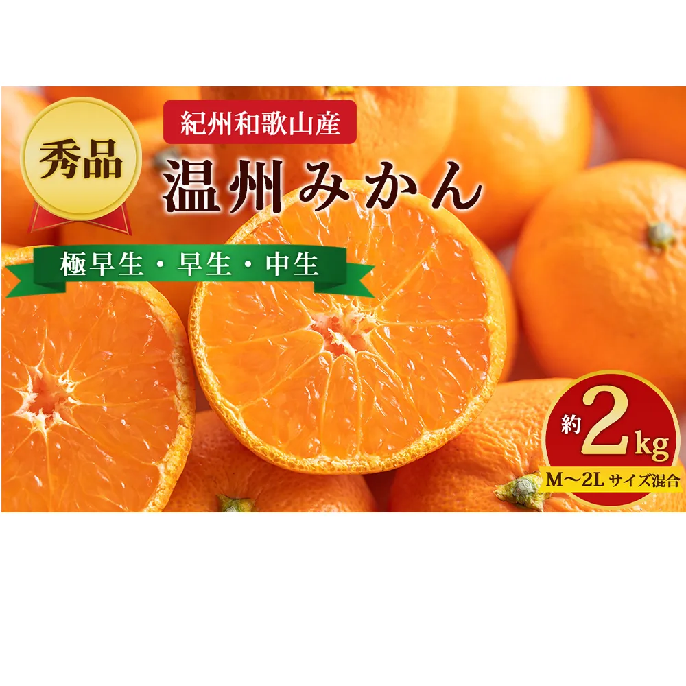 【先行予約】【秀品】紀州和歌山産 温州みかん 約2kg(箱込み) M~2L サイズ混合(極早生・早生・中生)