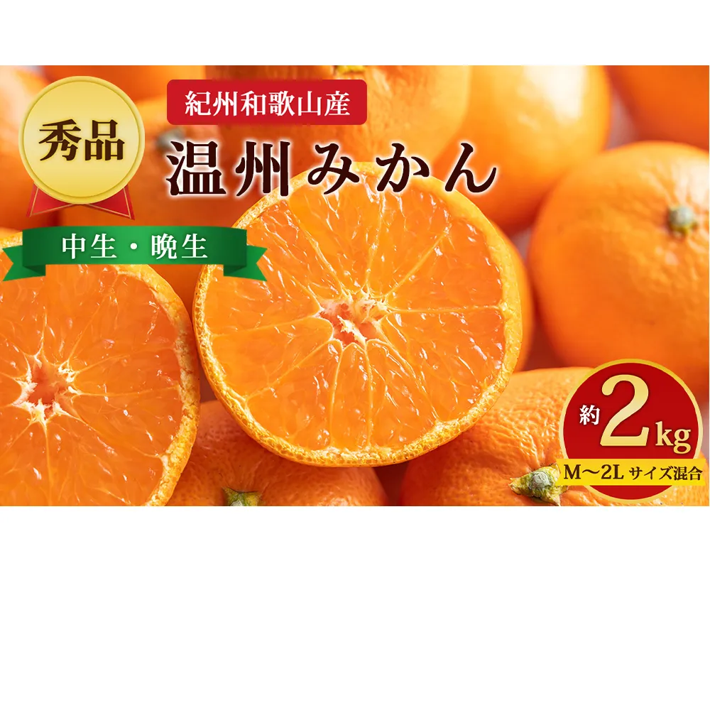 【先行予約】【秀品】紀州和歌山産 温州みかん 約2kg（箱込み） M～2L サイズ混合（中生・晩生）