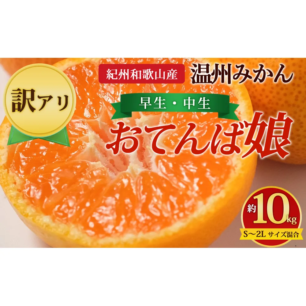 【先行予約】【訳あり】紀州和歌山産 温州みかん「おてんば娘」約10kg(箱込み)S~2L サイズ混合(早生・中生)