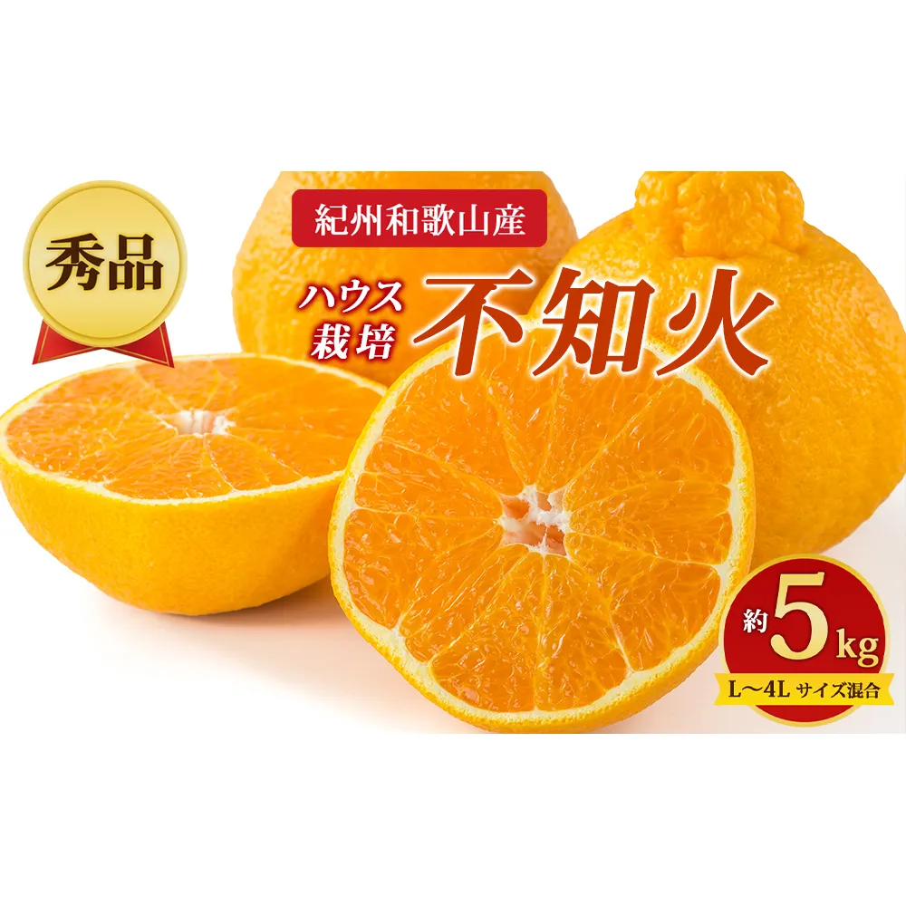 【先行予約】【秀品】紀州和歌山産 ハウス栽培 不知火 約5kg（箱込み）L～4L サイズ混合