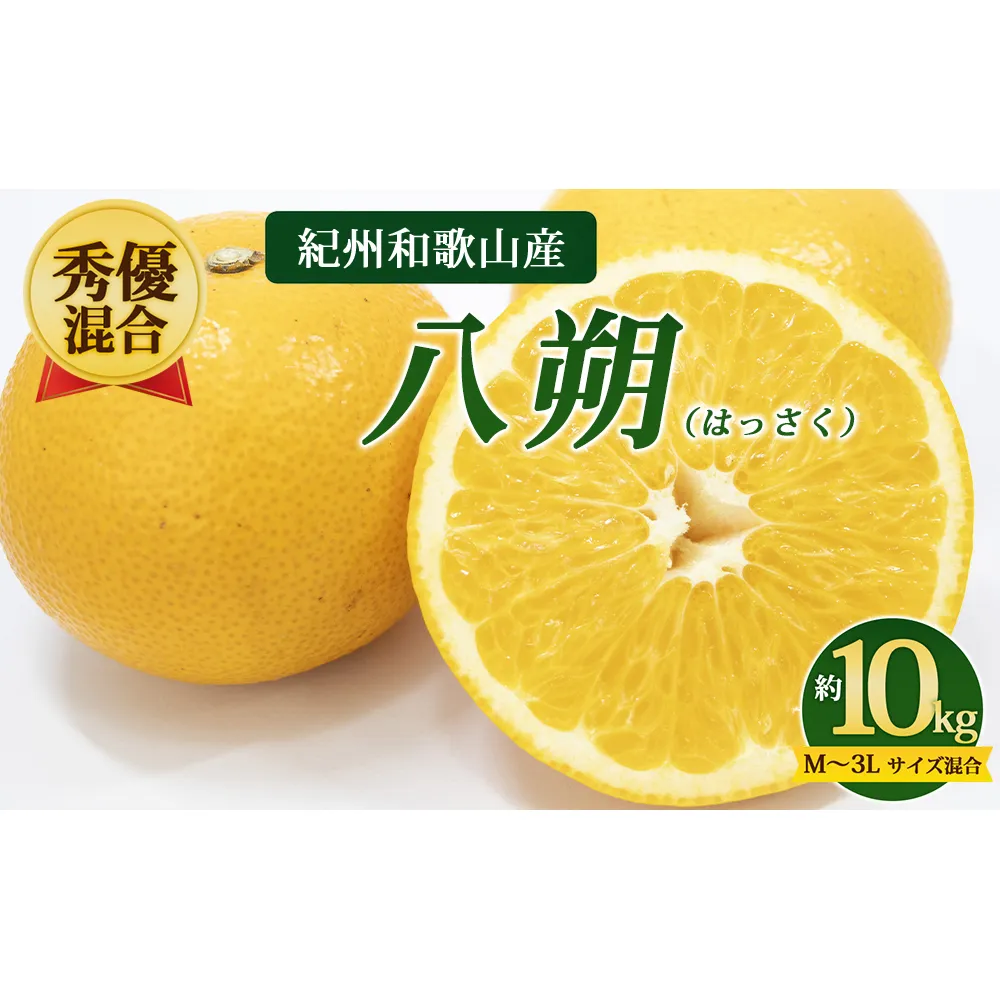 【先行予約】【秀優混合】紀州和歌山産 八朔（はっさく）約10kg（箱込み）M～3L サイズ混合