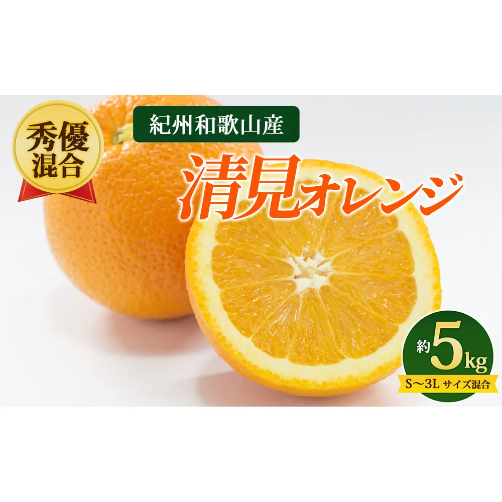 【先行予約】【秀優混合】紀州和歌山産 清見オレンジ 約5kg（箱込み）S～3L サイズ混合