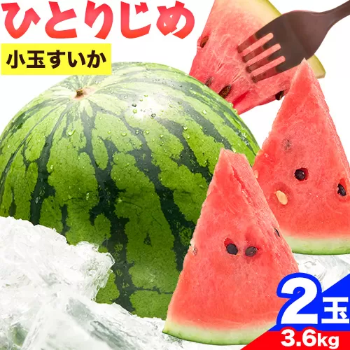 紀州和歌山産 小玉 スイカ 「ひとりじめ」 2玉 (1玉約1.8kg)魚鶴商店《2026年6月上旬-7月上旬頃出荷》 和歌山県 日高町 スイカ スイーツ フルーツ 果物 野菜 スイカ すいか 夏 旬