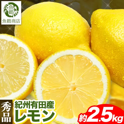 【秀品】紀州 有田産 レモン 約2.5kg 魚鶴商店《3月上旬-3月下旬頃出荷》和歌山県 日高町 柑橘 れもん 檸檬