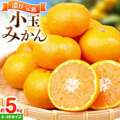 【先行予約】みかん 紀州有田産 濃厚完熟 小玉みかん 約5kg S～3Sサイズ 魚鶴商店《2026年11月下旬-12月下旬頃出荷》 和歌山県 日高町 みかん 小玉みかん 完熟 濃厚 柑橘 小玉 小さい