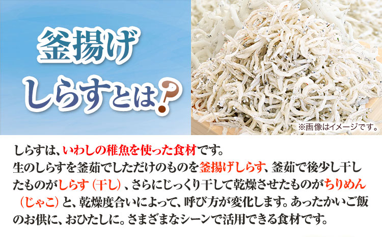冷凍 釜揚げ しらす 500g 大五海産《60日以内に出荷予定(土日祝 冷凍 釜揚げ しらす 500g 大五海産《60日以内に出荷予定(土日祝