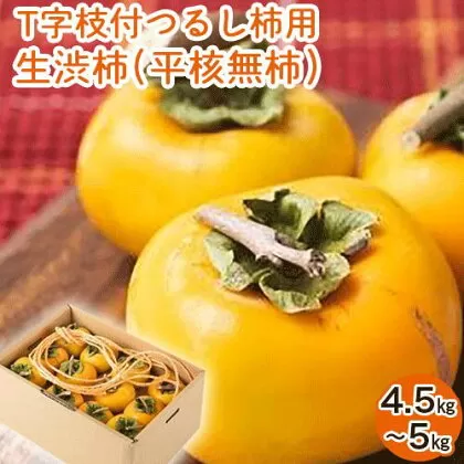 【2026年先行予約】T字枝付つるし柿用生渋柿 4.5〜5kg ふるさと農園《10月中旬-11月上旬頃出荷》