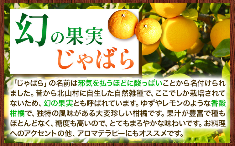じゃばら果汁 360ml×2本《90日以内に出荷予定(土日祝除く じゃばら果汁 360ml×2本《90日以内に出荷予定(土日祝除く