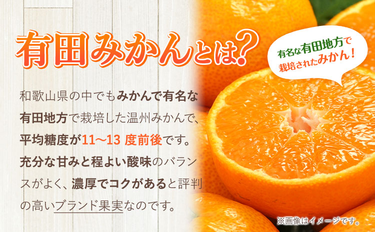 先行予約】有田みかん 秀品 5kg(サイズおまかせ)とち亀物産 紀伊