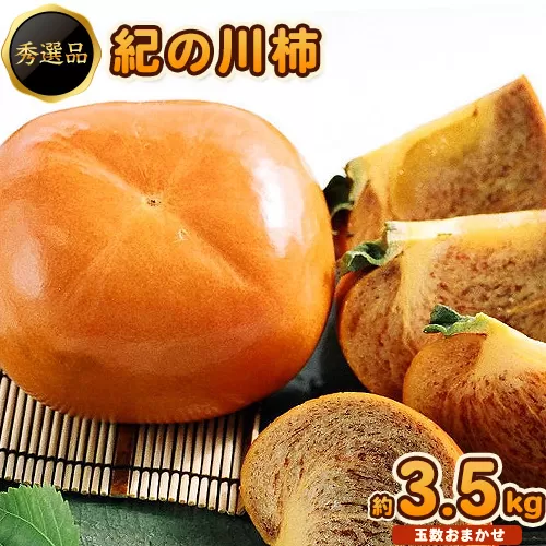 【先行予約】希少 紀の川柿 約3.5kg（種無し） 秀選品 (玉数おまかせ) 厳選館 《2026年11月上旬-11月中旬頃出荷》 和歌山県 日高町 柿 カキ かき ジューシー フルーツ