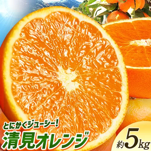 [先行予約]とにかくジューシー 清見 オレンジ 5kg 株式会社魚鶴商店[2026年3月下旬-4月中旬頃出荷]和歌山県 日高町 柑橘 果物 フルーツ