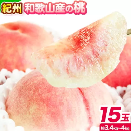 桃 もも 紀州 和歌山産 の 桃 15玉 ( 約 3.4kg〜 4kg ) 魚鶴商店[2026年6月下旬-8月上旬より発送予定] 和歌山県 日高町 フルーツ 化粧箱入り ギフト モモ 果物 フルーツ 旬 モモ くだもの 白桃 黄桃 はくとう
