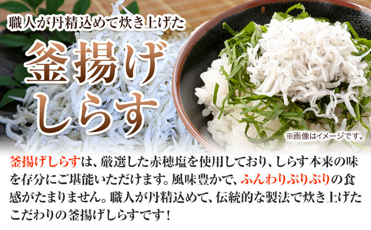 冷凍 釜揚げ しらす 500g 大五海産《60日以内に出荷予定(土日祝