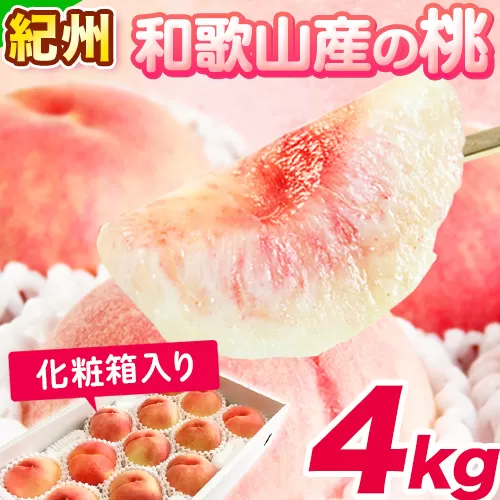 紀州和歌山産の桃　約4kg 10〜15玉　化粧箱入 株式会社魚鶴商店 《2026年6月下旬-8月上旬より発送予定》和歌山県 日高町 桃 もも モモ