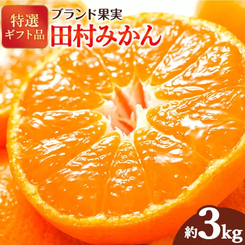 田村みかん 特選ギフト品 赤秀 3kg(サイズおまかせ)とち亀物産 紀伊国屋文左衛門本舗《11月下旬-1月中旬頃出荷予定》和歌山県 日高町 田村みかん 有田みかん みかん 果物 フルーツ ブランド果実