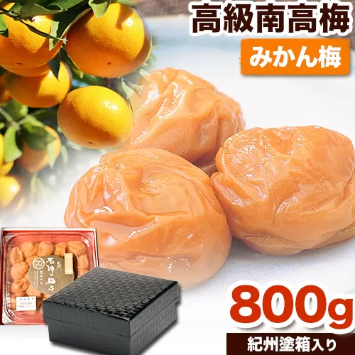 高級南高梅みかん梅 800g 網代模様仕上紀州塗箱入り 澤株式会社《90日以内に出荷予定(土日祝除く)》和歌山県 日高町 梅干し みかん みかん梅 紀州南高梅 紀州塗  送料無料