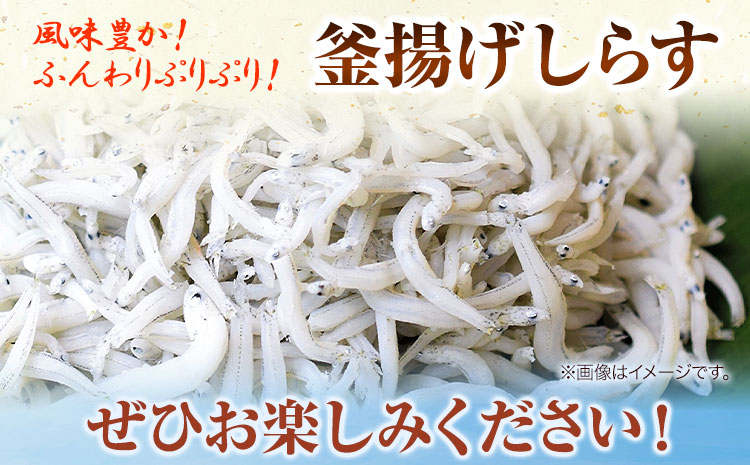 冷凍 釜揚げ しらす 500g 大五海産《60日以内に出荷予定(土日祝 冷凍 釜揚げ しらす 500g 大五海産《60日以内に出荷予定(土日祝