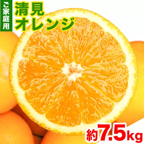 ＜先行予約＞【ご家庭用訳アリ】 紀州有田産清見オレンジ 約7.5kg 株式会社魚鶴商店《2027年3月下旬-4月下旬頃出荷》 和歌山県  オレンジ 柑橘 ご家庭用