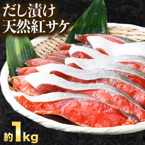 和歌山 魚鶴仕込の 天然 紅 サケ 切身 約 1kg 株式会社魚鶴商店[30日以内に出荷予定(土日祝除く)] 和歌山県 日高町 鮭 サケ さけ しゃけ