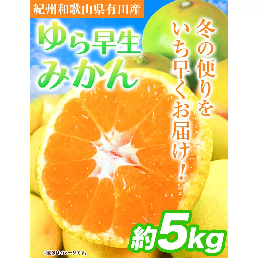 紀州和歌山有田産 ゆら早生みかん 約5kg 株式会社魚鶴商店[2025年10月上旬-11月上旬頃出荷] 和歌山県 日高町 みかん 早生 柑橘