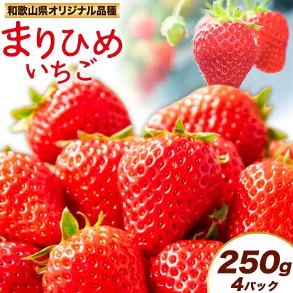 紀州和歌山県ブランドいちご「まりひめ」約250g×4パック 計1kg 株式会社魚鶴商店《2026年3月上旬-3月下旬頃出荷》和歌山県 日高町 いちご 苺 まりひめ フルーツ 果物 スイーツ 送料無料