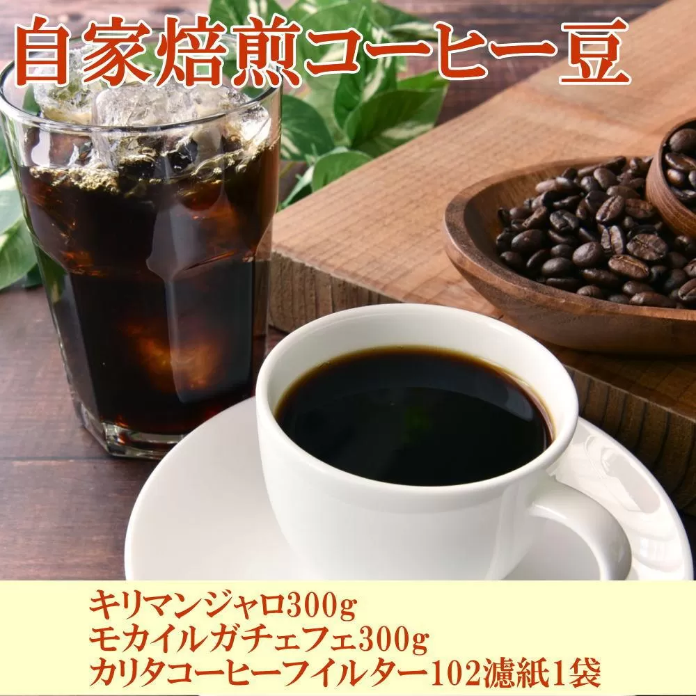 自家焙煎コーヒー豆（キリマンジャロ・モカイルガチェフェ）各300gとカリタ102コーヒーフイルター100枚セット【TM67】