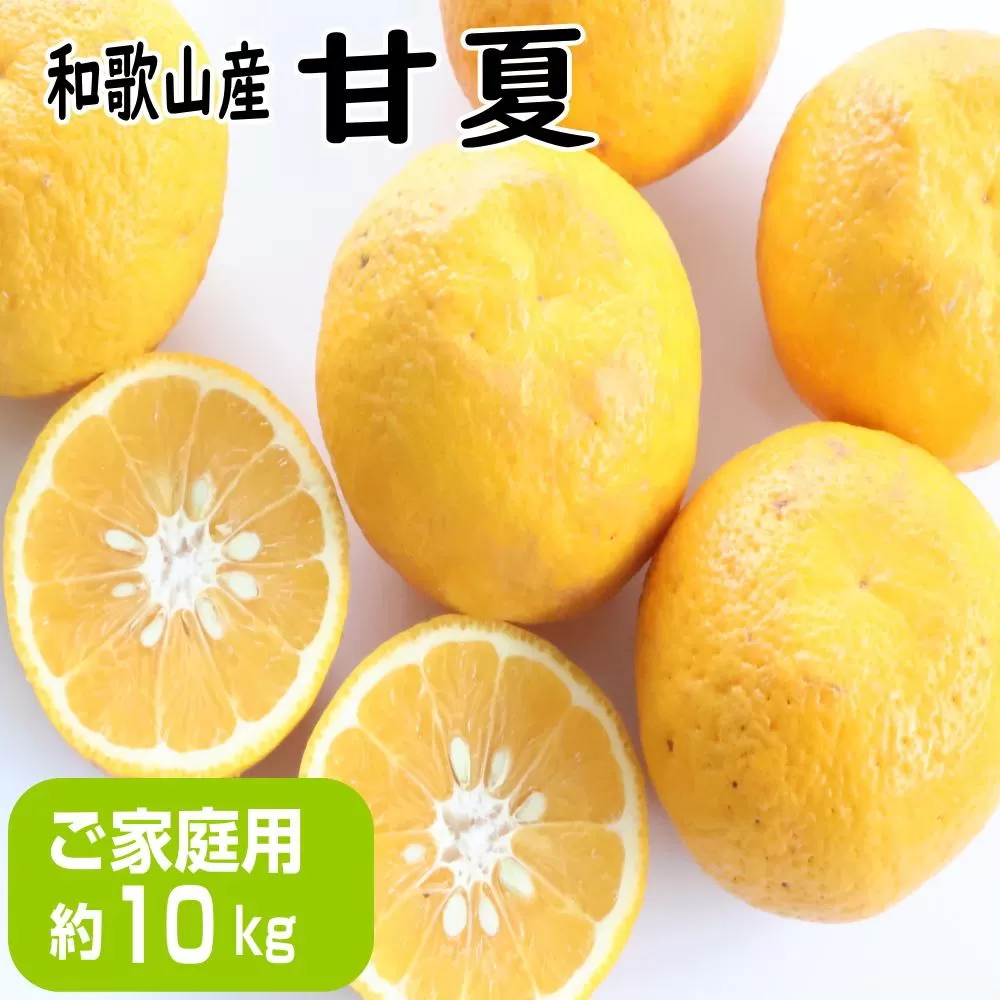 【ご家庭用】甘夏（あまなつ）約10kg 和歌山産