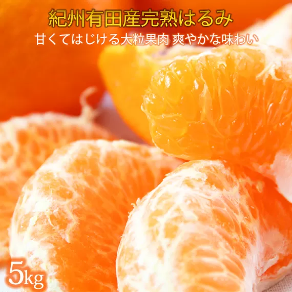 果肉ぷりぷり!完熟はるみ　５ｋｇ【2026年2月中旬頃〜2026年2月下旬頃に順次発送】【UT22】