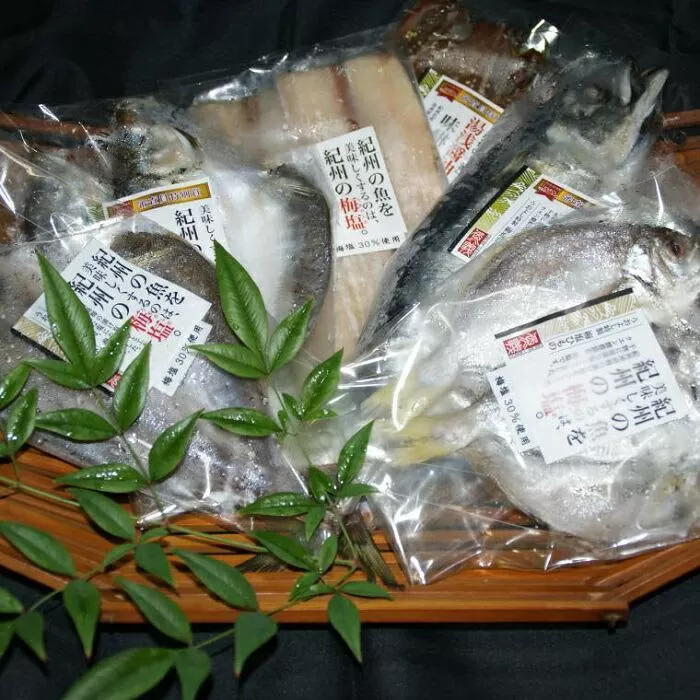 梅塩干物と湯浅醤油みりん干し6品種10尾入りの詰め合わせ【和歌山の近海でとれた新鮮魚】【TM65】