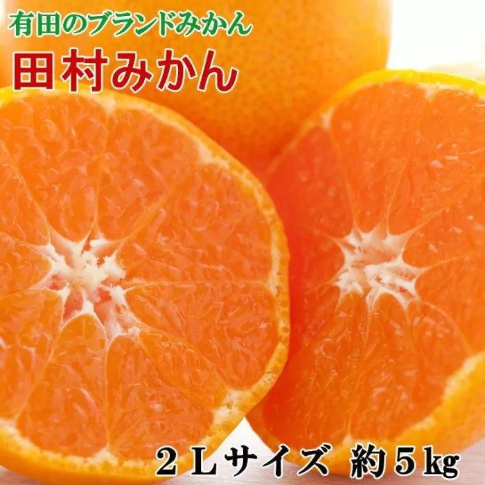 【ブランドみかん】田村みかん約5kg（2Lサイズ・秀品）★2025年11月中旬頃より順次発送【TM106】