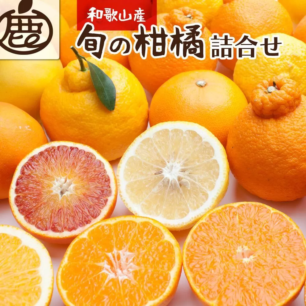 ［先行予約］厳選 柑橘詰合せ5kg+250g（傷み補償分）［有田の春みかん詰め合わせ・フルーツ詰め合せ・オレンジつめあわせ］［光センサー選別］［IKE85］