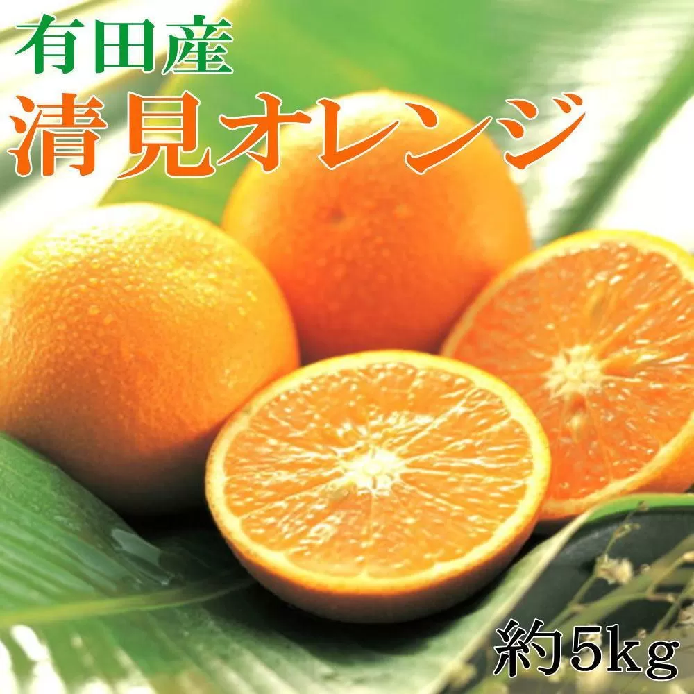 ［濃厚］農家さん直送の清見オレンジ 約5kg（サイズおまかせ・秀品）★2026年2月中旬頃より順次発送［TM152］