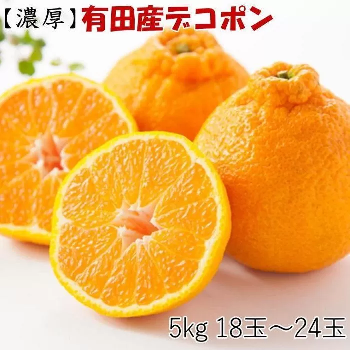 ［お味濃厚］紀州有田産のデコポン約5kg(18玉〜24玉入り・青秀以上)★2026年2月中旬頃より順次発送［TM26］