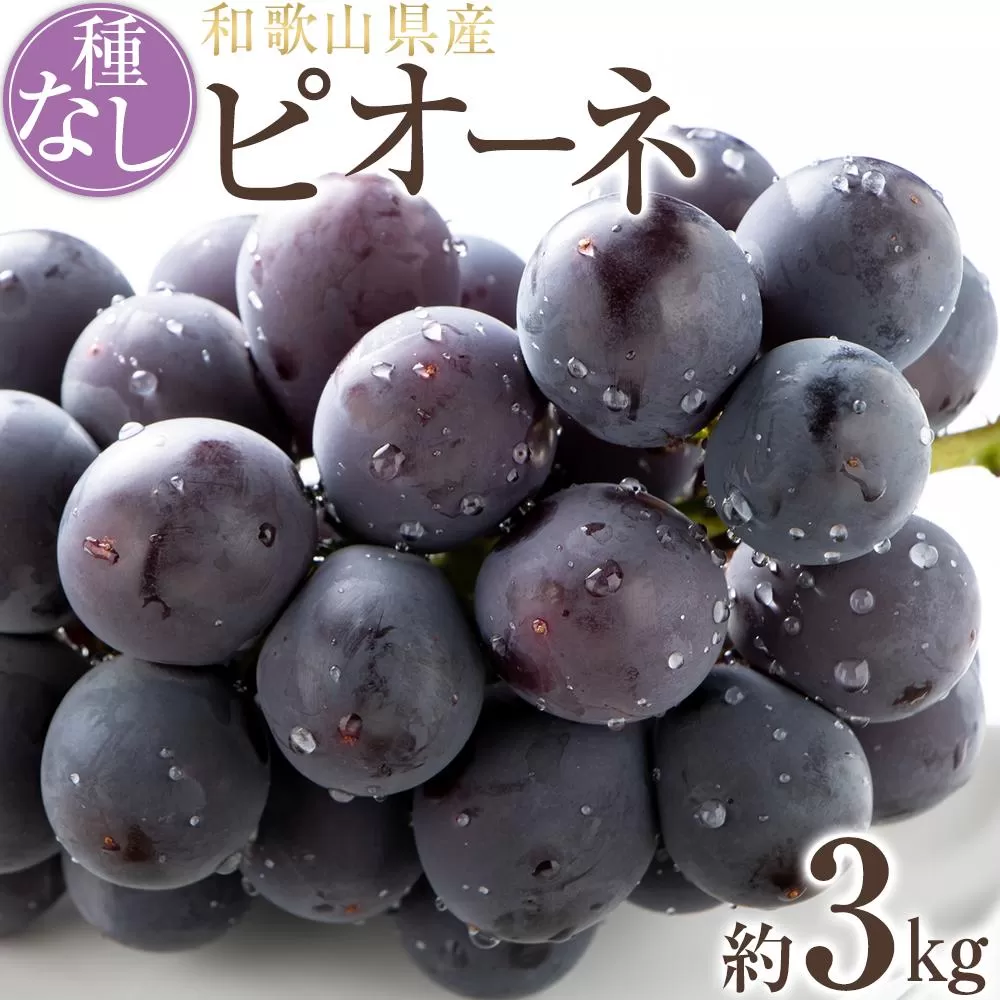 【新鮮・産直】和歌山かつらぎ町産たねなしピオーネ約3kg★2025年8月中旬頃より順次発送【TM127】