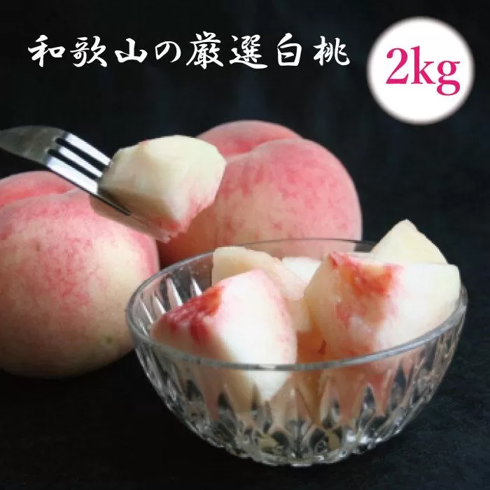 ＜7月発送＞和歌山の厳選白桃 約2kg［白鳳・清水白桃・川中島・もも・はくとう］［化粧箱入り］［IKE17］
