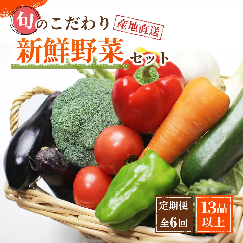 【定期便 / 全6回：奇数月お届け】旬の新鮮野菜セットB（たっぷり13種類以上）