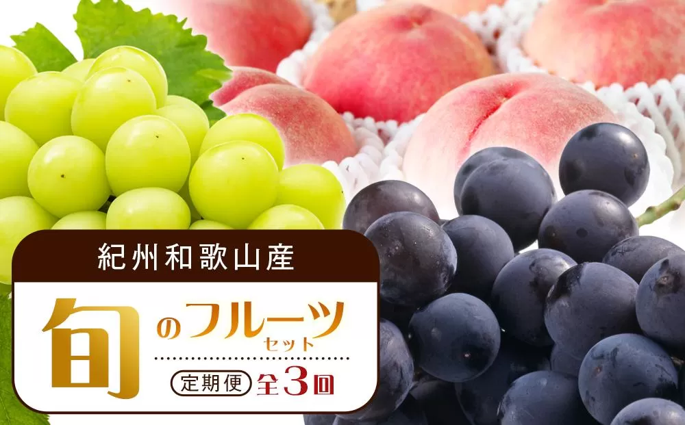 【7・8・9月 全3回 定期便 】紀州和歌山産旬のフルーツセット（桃・種なし巨峰・シャインマスカット）【UT124】