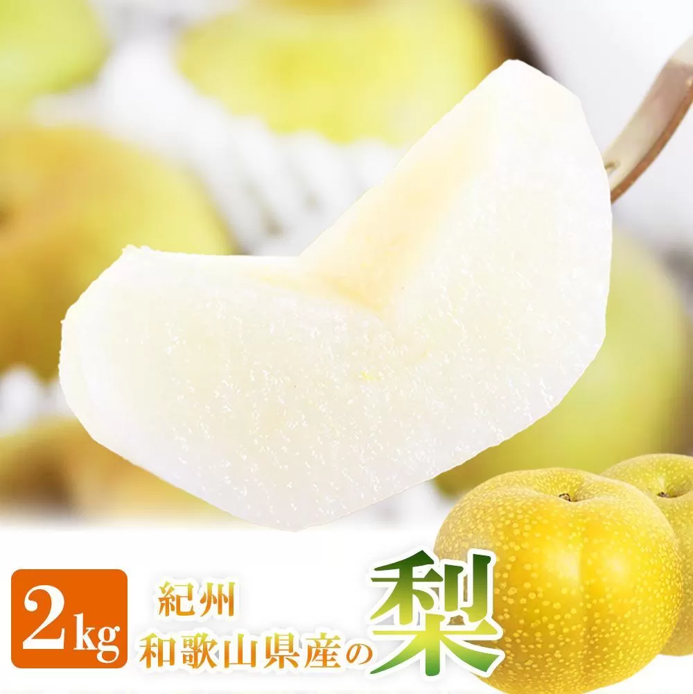 梨 約2kg 化粧箱入 紀州和歌山 かつらぎ産【2025年8月下旬以降発送予定】【UT103】
