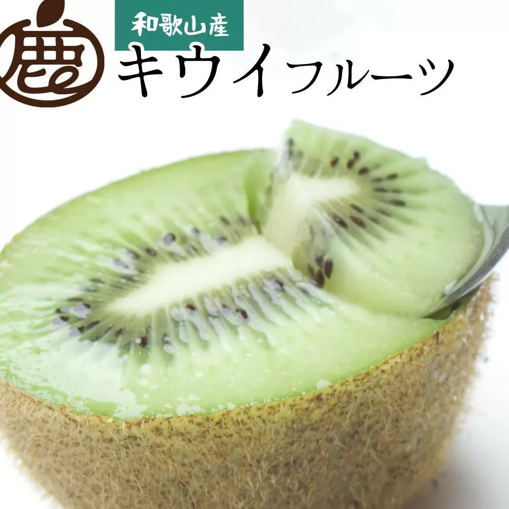 ［先行予約］厳選 キウイ1kg+250g（傷み補償分）【扁平果】［IKE106］