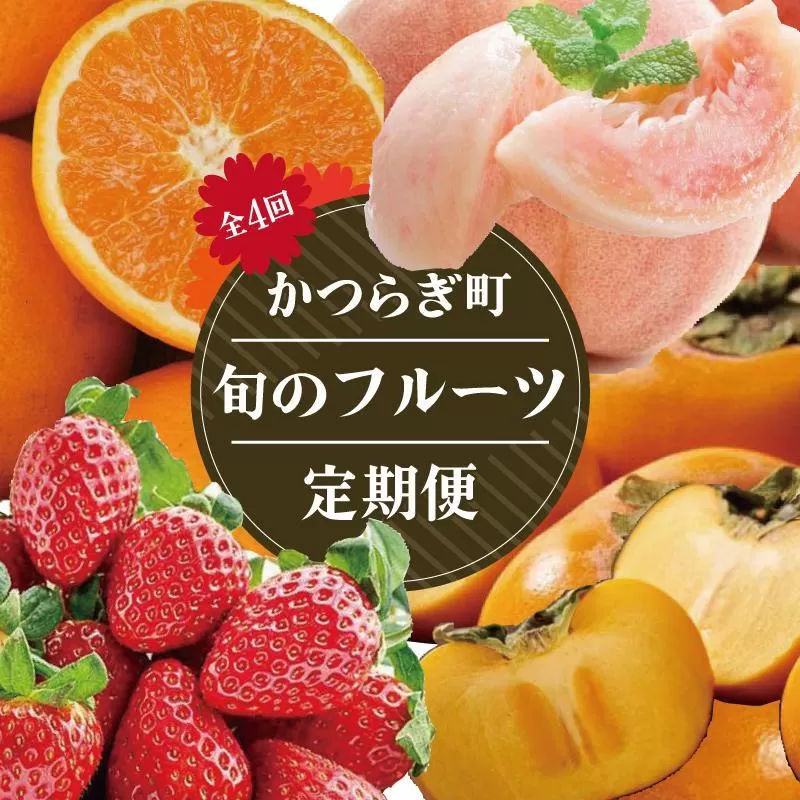 【定期便4回】フルーツ王国かつらぎ町よりお届け！旬のフルーツ定期便【KG11】