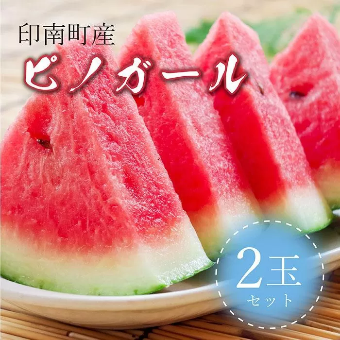 種まで食べられるスイカ！印南町産 ピノガール【2玉セット】