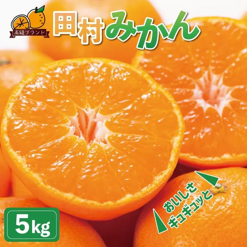 高級ブランド田村みかん　5kg【2025年11月下旬以降発送】【先行予約】【UT14】