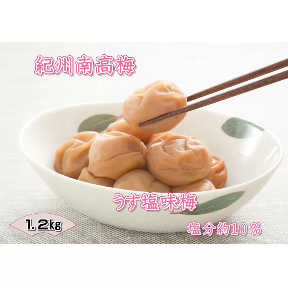 【家庭用】紀州南高梅　うす塩味梅　1.2kg